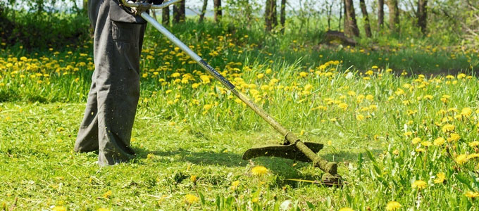 perawatan taman perawatan taman